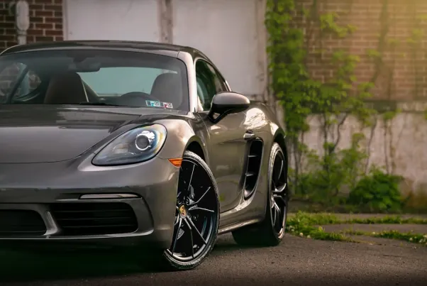 Kasino Spin Pug Android/iOS Sovellus